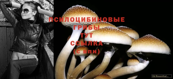 скорость Сафоново