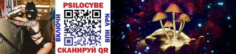 наркота  Лахденпохья  Галлюциногенные грибы Cubensis 