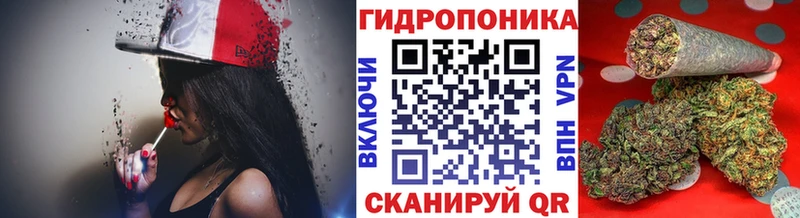 купить наркотик  Лахденпохья  Канабис тримм 